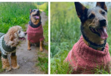 Fetch Dog Sweater Free Knitting Pattern