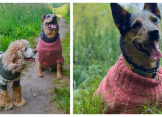 Fetch Dog Sweater Free Knitting Pattern