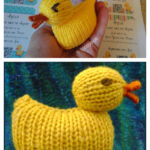 Quack Quack Duck Free Knitting Pattern