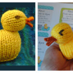 Quack Quack Duck Free Knitting Pattern