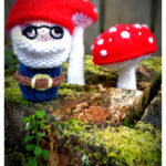 Mr Gnome and Mushroom Free Knitting Pattern