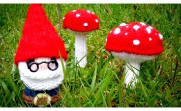 Mr Gnome and Mushroom Free Knitting Pattern