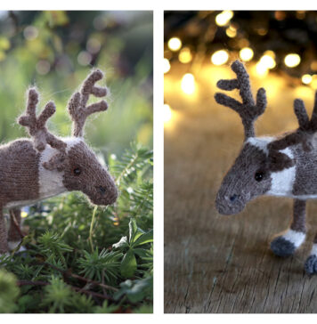 Reindeer Free Knitting Pattern