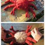 The Deadliest Crab Free Knitting Pattern