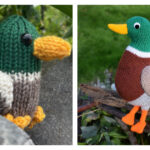 Mallard Duck Amigurumi Knitting Patterns