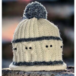 Owl Beanie Hat Free Knitting Pattern