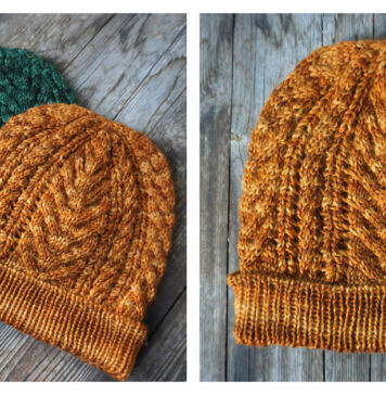 Coral Reef Beanie Hat Free Knitting Pattern