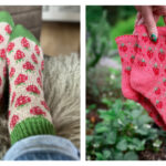 Berry Socks Knitting Patterns