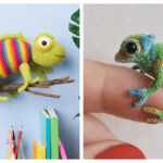 Chameleon Toy Knitting Patterns