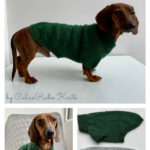 Portland Raglan Dog Sweater Free Knitting Pattern and Video Tutorial
