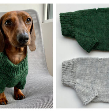 Portland Raglan Dog Sweater Free Knitting Pattern and Video Tutorial