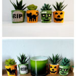 Tiny Halloween Plant Sweaters Free Knitting Pattern