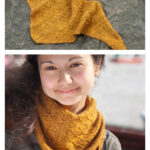 Apis Dorsata Shawl Free Knitting Pattern