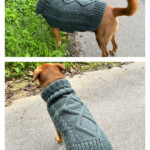 Aran Dog Sweater Free Knitting Pattern