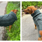 Aran Dog Sweater Free Knitting Pattern