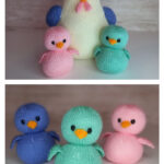 Mama Chicken Free Knitting Pattern