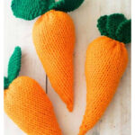 Easy Carrot Free Knitting Pattern