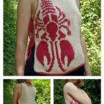 Lobster Top Star Free Knitting Pattern