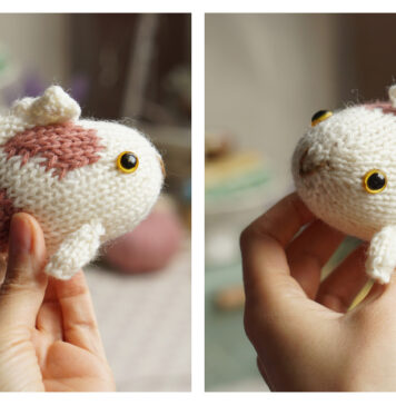 Carp Fish Free Knitting Pattern